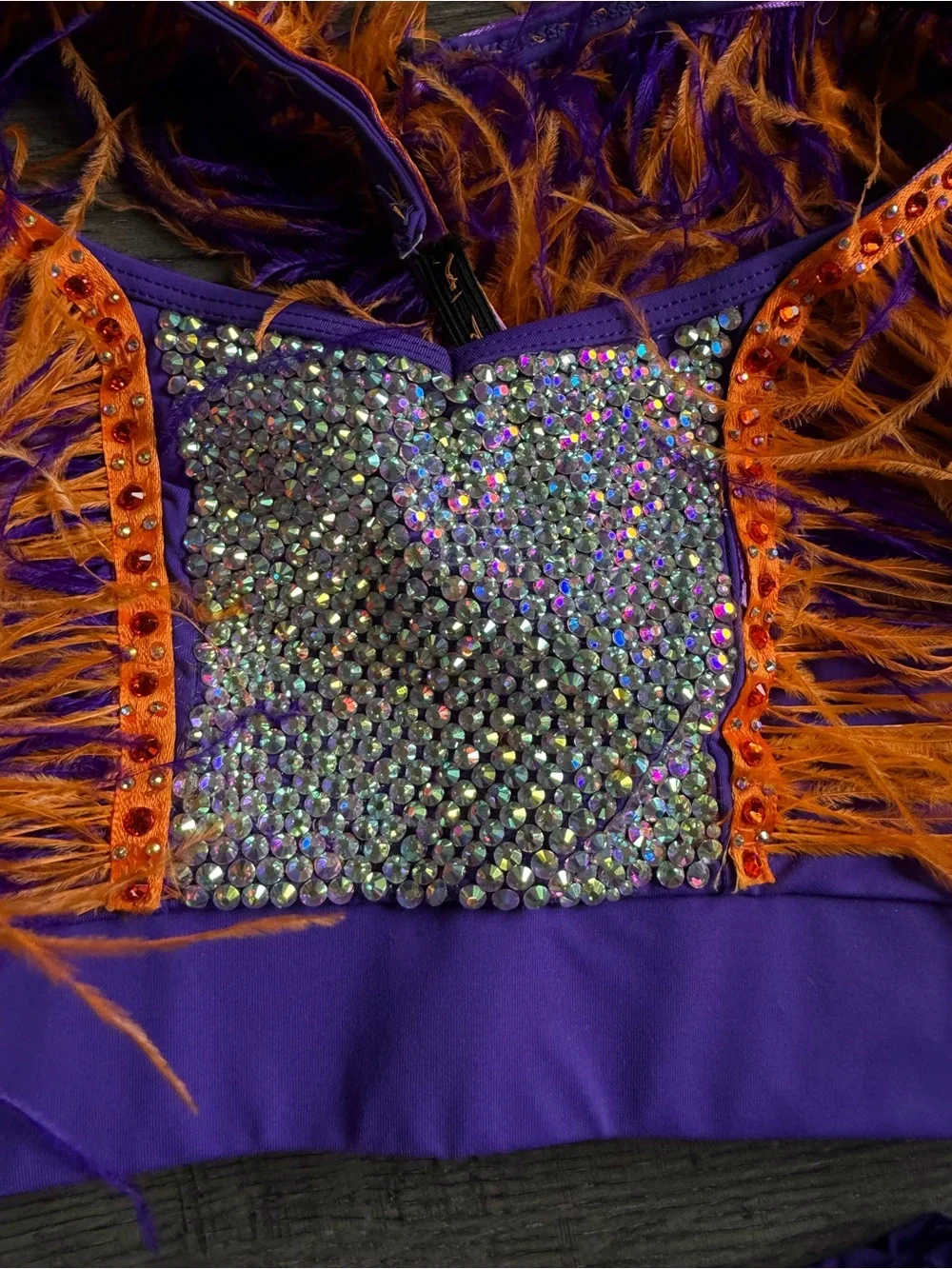Kids Purple and Orange Feather Dance Costume Top and Bottom Set Custom Made